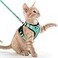rabbitgoo Cat Harness and Leash Set Escape Proof Kitten Harness for Safe Outdoor Walks Soft Breathable Adjustable Vest with Reflective Strips for Kittens and Extra Small Cats Emerald XXS