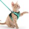 rabbitgoo Cat Harness and Leash Set Escape Proof Kitten Harness for Safe Outdoor Walks Soft Breathable Adjustable Vest with Reflective Strips for Kittens and Extra Small Cats Emerald XXS