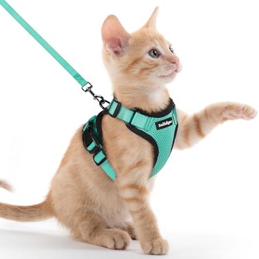 rabbitgoo Cat Harness and Leash Set Escape Proof Kitten Harness for Safe Outdoor Walks Soft Breathable Adjustable Vest with Reflective Strips for Kittens and Extra Small Cats Emerald XXS