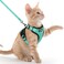 rabbitgoo Cat Harness and Leash Set Escape Proof Kitten Harness for Safe Outdoor Walks Soft Breathable Adjustable Vest with Reflective Strips for Kittens and Extra Small Cats Emerald XXS
