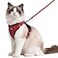 rabbitgoo Cat Harness and Leash Set Escape Proof Vest Harness for Safe Outdoor Walks Soft Breathable Adjustable Vest with Reflective Strips for Average to Large Cats Red M