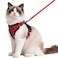 rabbitgoo Cat Harness and Leash Set Escape Proof Vest Harness for Safe Outdoor Walks Soft Breathable Adjustable Vest with Reflective Strips for Average to Large Cats Red M