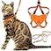 OutdoorBengal Houdini Escape Proof Kitten Harness and Leash Set by Orange Small Cat Harness for Walking