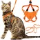 OutdoorBengal Houdini Escape Proof Kitten Harness and Leash Set by Orange Small Cat Harness for Walking