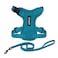 Best Pet Supplies Voyager EscapeProof Stepin Lock Cat Harness 5ft NeopreneHandle Leash Set AllWeather Mesh with Reflective Stitching for Small to Large Cats by Turquoise XXS
