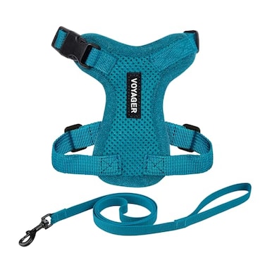 Best Pet Supplies Voyager EscapeProof Stepin Lock Cat Harness 5ft NeopreneHandle Leash Set AllWeather Mesh with Reflective Stitching for Small to Large Cats by Turquoise XXS