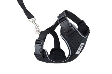 RC Pet Products RC Pets Adventure Kitty Harness Includes Adjustable Airmesh Fabric 6 Leash and DRing Cat Walking Harness Black Medium