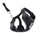 RC Pet Products RC Pets Adventure Kitty Cat Harness Adjustable Airmesh Vest with DRing and 6ft Leash for Walking and Travel Black Large