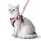 PUPTECK Cat Harness and Leash Set Escape Proof Reflective Cat Walking Harness Adjustable Soft Breathable Mesh Vest for Small Pets Light Pink M