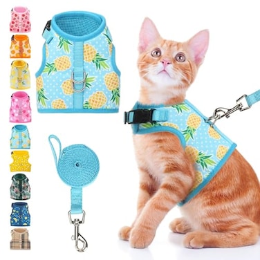 BINGPET Cat Harness and Leash Set Escape Proof Fashionable Adjustable Mesh Harness for Walking Soft Cute Breathable Easy Control Cat Vest for Kitten Puppy Small Medium Large Cats
