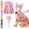 BINGPET Cat Harness and Leash Set Escape Proof Fashionable Adjustable Mesh Harness for Walking Soft Cute Breathable Easy Control Cat Vest for Kitten Puppy Small Medium Large Cats