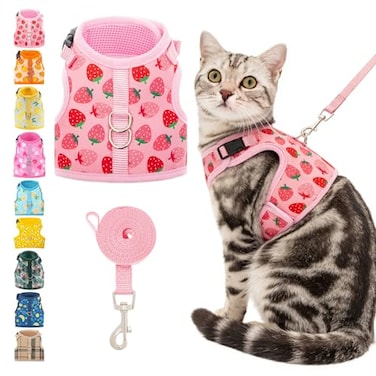 BINGPET Cat Harness and Leash Set Escape Proof Fashionable Adjustable Mesh Harness for Walking Soft Cute Breathable Easy Control Cat Vest for Kitten Puppy Small Medium Large Cats