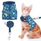 BINGPET Cat Harness with Leash Escape Proof Fashionable Mesh Cat Dog Walking Harness Leads Adjustable for Kitties Puppies Small AnimalsGalaxy