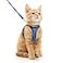 rabbitgoo Cat Harness and Leash Set for Walking Escape Proof Adjustable Soft Kittens Vest with Reflective Strip for Cats Comfortable Outdoor Vest Blue M