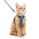 rabbitgoo Cat Harness and Leash Set for Walking Escape Proof Adjustable Soft Kittens Vest with Reflective Strip for Cats Comfortable Outdoor Vest Blue M
