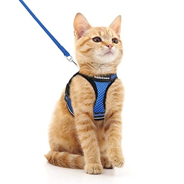 rabbitgoo Cat Harness and Leash Set for Walking Escape Proof Adjustable Soft Kittens Vest with Reflective Strip for Cats Comfortable Outdoor Vest Blue M