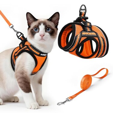 rabbitgoo Cat Harness and Leash Stepin Escape Proof Kitten Harness Set Soft Comfortable Cat Vest Easy to Wear and Adjust Reflective for Safe Outdoor Walking Light Orange Large
