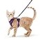 rabbitgoo Cat Harness and Leash for Walking Escape Proof Soft Adjustable Vest Harnesses for Cats Easy Control Breathable Reflective Strips Jacket Purple S