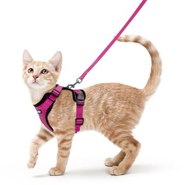 rabbitgoo Cat Harness and Leash for Walking Escape Proof Soft Adjustable Vest Harnesses for Cats Easy Control Breathable Reflective Strips Jacket Rose RedS