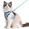 rabbitgoo Cat Harness and Leash for Walking Escape Proof Soft Adjustable Vest Harnesses for Cats Easy Control Breathable Reflective Strips Jacket Light BlueM