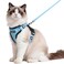 rabbitgoo Cat Harness and Leash for Walking Escape Proof Soft Adjustable Vest Harnesses for Cats Easy Control Breathable Reflective Strips Jacket Light BlueM