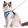 rabbitgoo Cat Harness and Leash for Walking Escape Proof Soft Adjustable Vest Harnesses for Cats Easy Control Breathable Reflective Strips Jacket Light BlueM