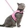 PUPTECK Soft Mesh Cat Vest Harness and Leash Set Puppy Padded Pet Harnesses Escape Proof for Cats Small Dogs Pink Large