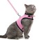 PUPTECK Soft Mesh Cat Vest Harness and Leash Set Puppy Padded Pet Harnesses Escape Proof for Cats Small Dogs Pink Large