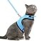 PUPTECK Soft Mesh Cat Vest Harness and Leash Set Puppy Padded Pet Harnesses Escape Proof for Cats Small Dogs Blue Large