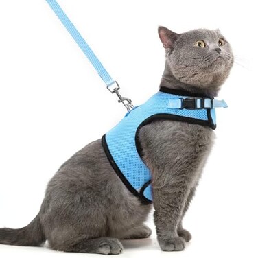 PUPTECK Soft Mesh Cat Vest Harness and Leash Set Puppy Padded Pet Harnesses Escape Proof for Cats Small Dogs Blue Large