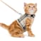 PUPTECK Soft Mesh Cat Vest Harness and Leash Set Puppy Padded Pet Harnesses Escape Proof for Cats Small Dogs Rabbits Bunny Plaid Beige M