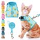 BINGPET Cat Harness and Leash Set Escape Proof Fashionable Adjustable Mesh Harness for Walking Soft Cute Breathable Easy Control Cat Vest for Kitten Puppy Small Medium Large Cats