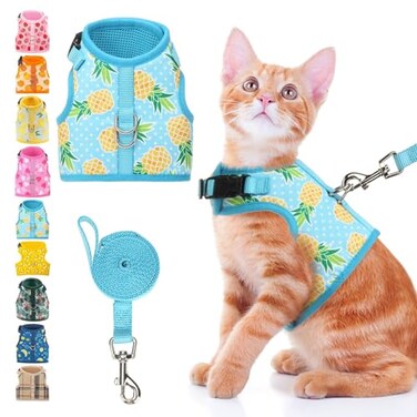 BINGPET Cat Harness and Leash Set Escape Proof Fashionable Adjustable Mesh Harness for Walking Soft Cute Breathable Easy Control Cat Vest for Kitten Puppy Small Medium Large Cats