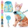 BINGPET Cat Harness and Leash Set Escape Proof Fashionable Adjustable Mesh Harness for Walking Soft Cute Breathable Easy Control Cat Vest for Kitten Puppy Small Medium Large Cats
