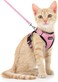 Dooradar Cat Harness and Leash Set Escape Proof Safe Adjustable Kitten Vest Harnesses for Walking Easy Control Soft Breathable Mesh Jacket with Reflective Strips for Cats Pink S