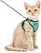 Dooradar Cat Harness and Leash Set Escape Proof Safe Adjustable Kitten Vest Harnesses for Walking Easy Control Soft Breathable Mesh Jacket with Reflective Strips for Cats Green XS