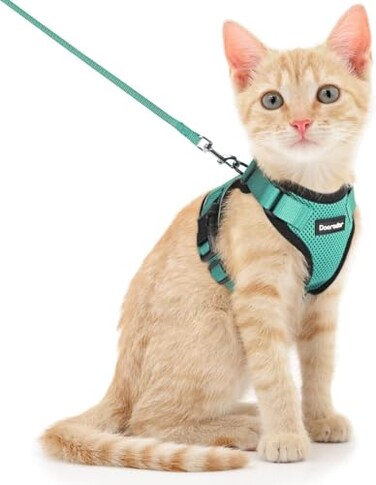 Dooradar Cat Harness and Leash Set Escape Proof Safe Adjustable Kitten Vest Harnesses for Walking Easy Control Soft Breathable Mesh Jacket with Reflective Strips for Cats Green XS