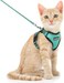 Dooradar Cat Harness and Leash Set Escape Proof Safe Adjustable Kitten Vest Harnesses for Walking Easy Control Soft Breathable Mesh Jacket with Reflective Strips for Cats Green XS