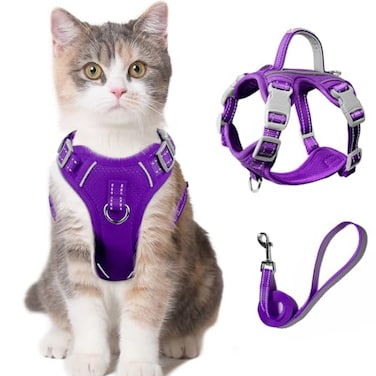 BARKBAY Cat Harness and Leash Set for Walking Escape Proof for Small Large cat Kitten Harness with ID tag Pocket PurpleXXS