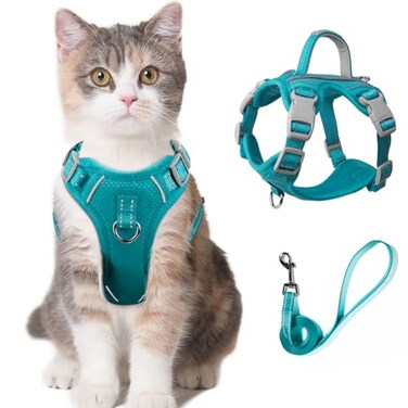 BARKBAY Cat Harness and Leash Set for Walking Escape Proof for Small Large cat Kitten Harness with ID tag Pocket BlueXXS