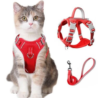 BARKBAY Cat Harness and Leash Set for Walking Escape Proof for Small Large cat Kitten Harness with ID tag Pocket RedXXS