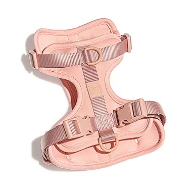 Wild One Harness 20 Medium Pink