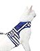 Yizhi Miaow Cat Harness and Leash for Walking Escape Proof Adjustable Cat Vest Harness Padded Stylish Cat Walking Jackets Sailor Suit Navy Extra Large