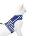 Yizhi Miaow Cat Harness and Leash for Walking Escape Proof Adjustable Cat Vest Harness Padded Stylish Cat Walking Jackets Sailor Suit Navy Extra Large