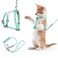 TIESOME Cat Harness and Leash Set Adjustable Gradient Kitten Harness Escape Proof Harness with Leash for Kitty Outdoor Walking Green