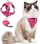 skmeditec Cat Harness and Leash Set Upgraded Escape Proof Adjustable Vest with Lead for Kitten Puppy Outdoor Walking Soft Breathable Mesh Jacket with Reflective Strips for Dark Night M Rose Pink
