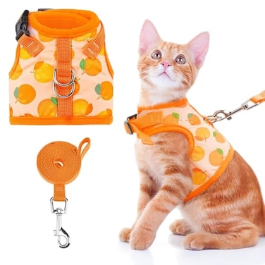 BINGPET Cat Harness with Leash Escape Proof Fashionable Mesh Cat Dog Walking Harness Leads Adjustable for Kitties Puppies Small Animals Large