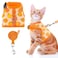 BINGPET Cat Harness with Leash Escape Proof Fashionable Mesh Cat Dog Walking Harness Leads Adjustable for Kitties Puppies Small Animals Large