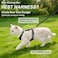 BEAUTYZOO Cat Harness and Leash Set for Walking Escape Proof Neck Release Adjustable Harness for Kitten Puppy Small Medium Large Cats Soft Cute Easy Control Small Cat Harness for Cats Boy and Girls