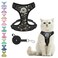 BEAUTYZOO Cat Harness and Leash Set for Walking Escape Proof Neck Release Adjustable Harness for Kitten Puppy Small Medium Large Cats Soft Cute Easy Control Small Cat Harness for Cats Boy and Girls